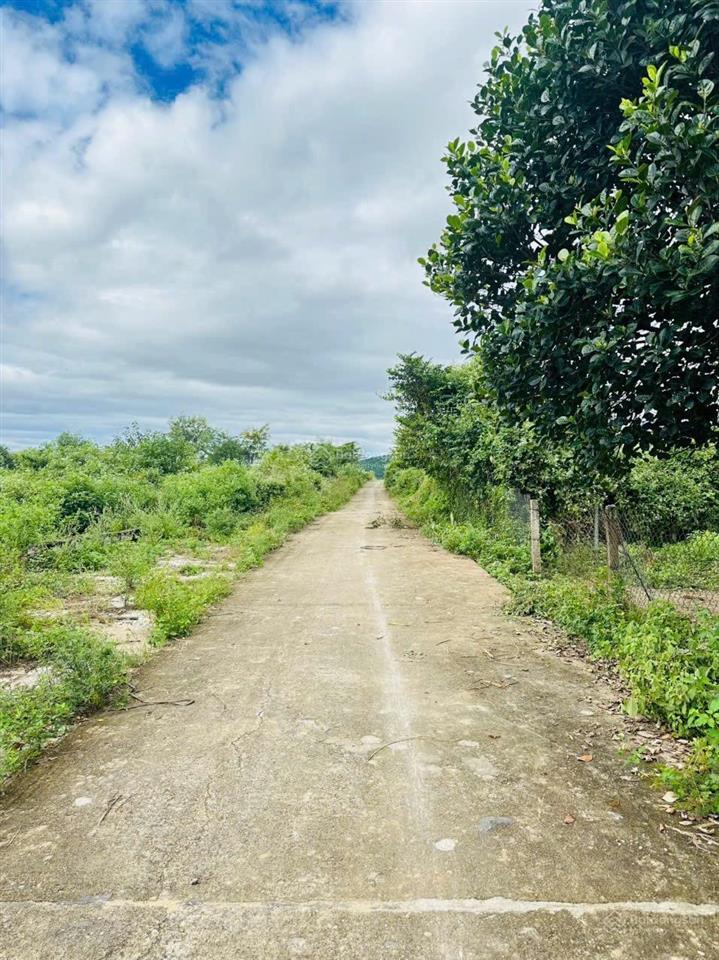 Cần bán lô đất thôn đồng trăn 1, xã diên lâm (diên đồng), dt 559 m2