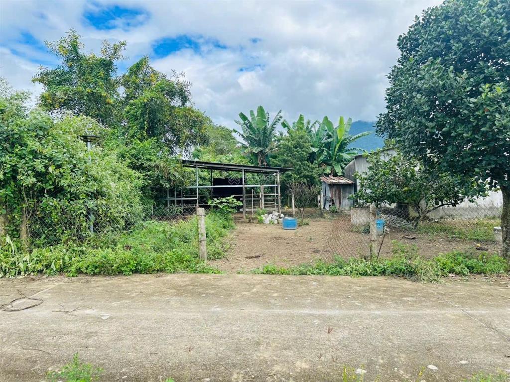 Cần bán lô đất thôn đồng trăn 1, xã diên lâm (diên đồng), dt 559 m2