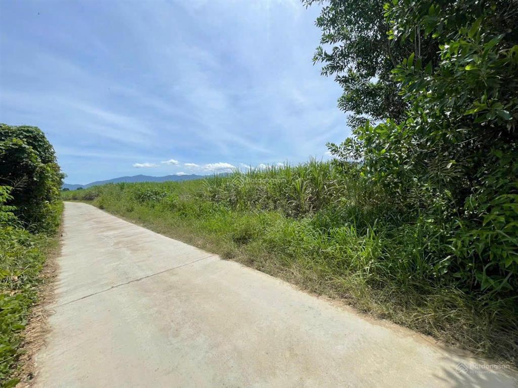 Cần bán lô đất thôn đồng trăn 1, xã diên lâm, dt 726 m2