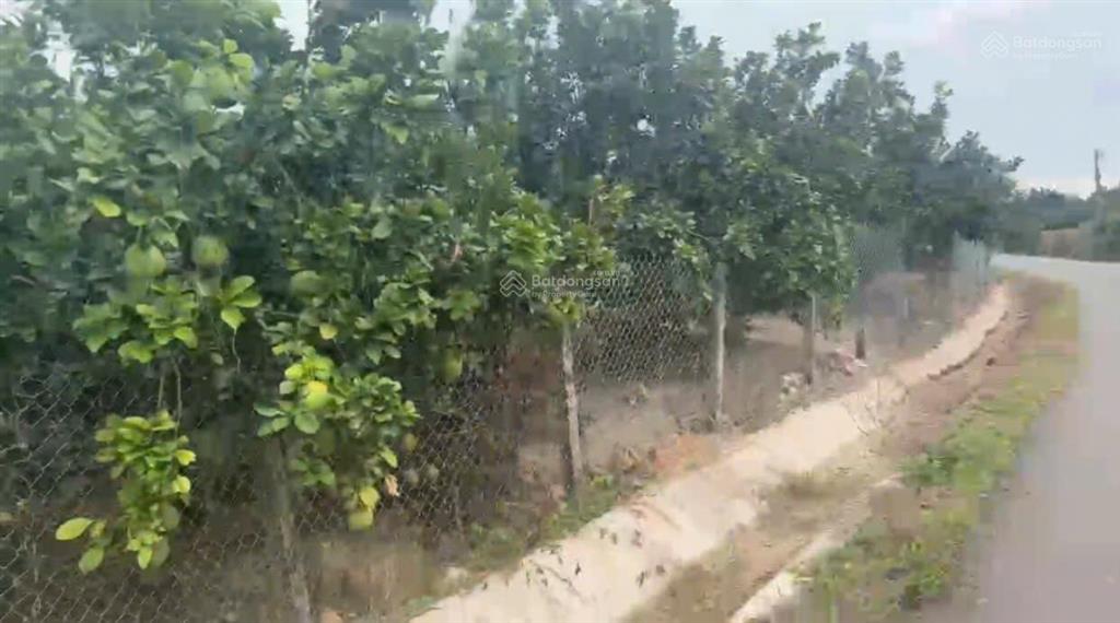 Bán đất tại thôn tây, xã sông cầu, khánh vĩnh