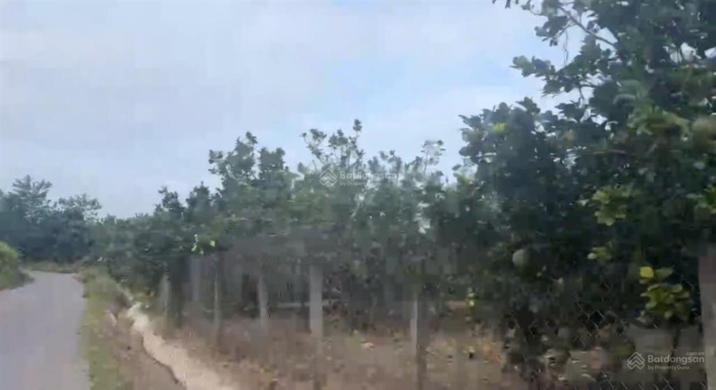 Bán đất tại thôn tây, xã sông cầu, khánh vĩnh