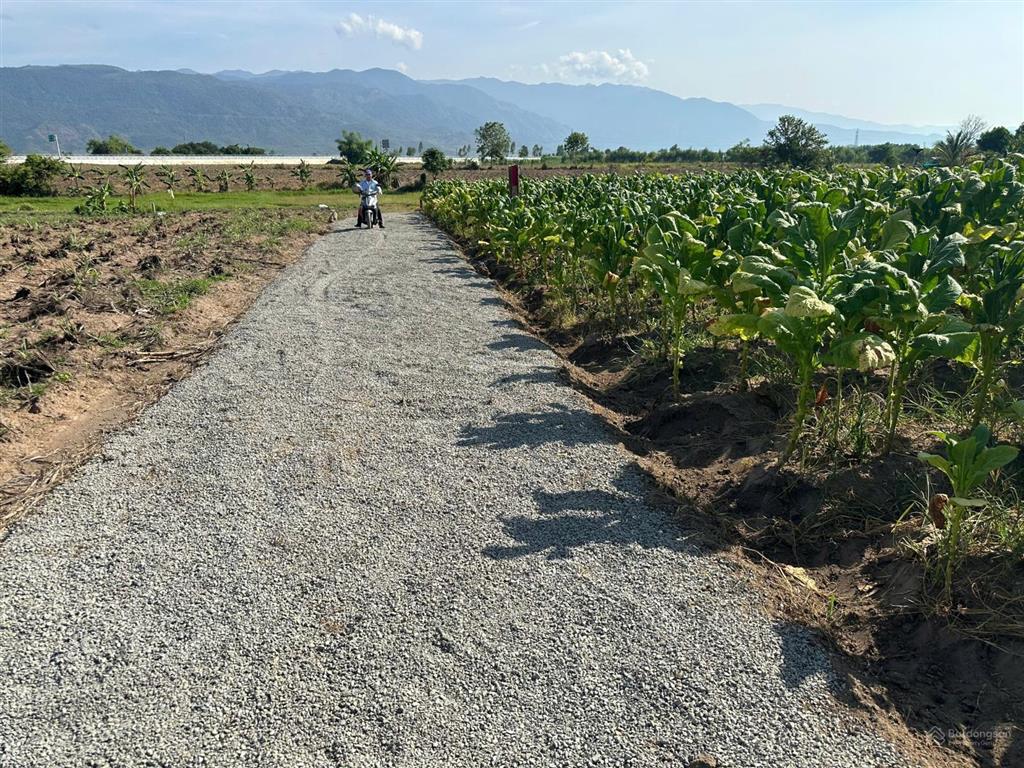 Cần bán lô đất thôn xóm mới, xã tây ninh hòa (ninh tây) dt 4.806 m²