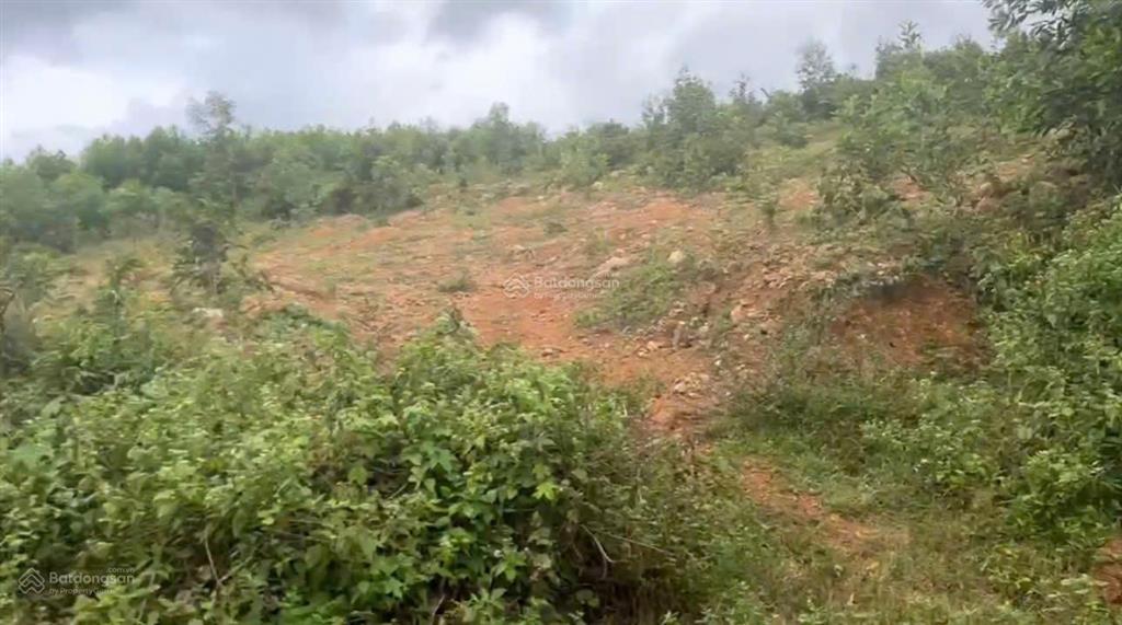 Bán đất tại thôn suối cau , xã khánh đông, khánh vĩnh