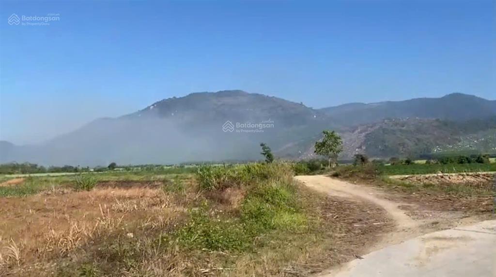 Bán lô đất thổ cư dt 1.339 m2 thôn buôn lác, xã tây ninh hòa