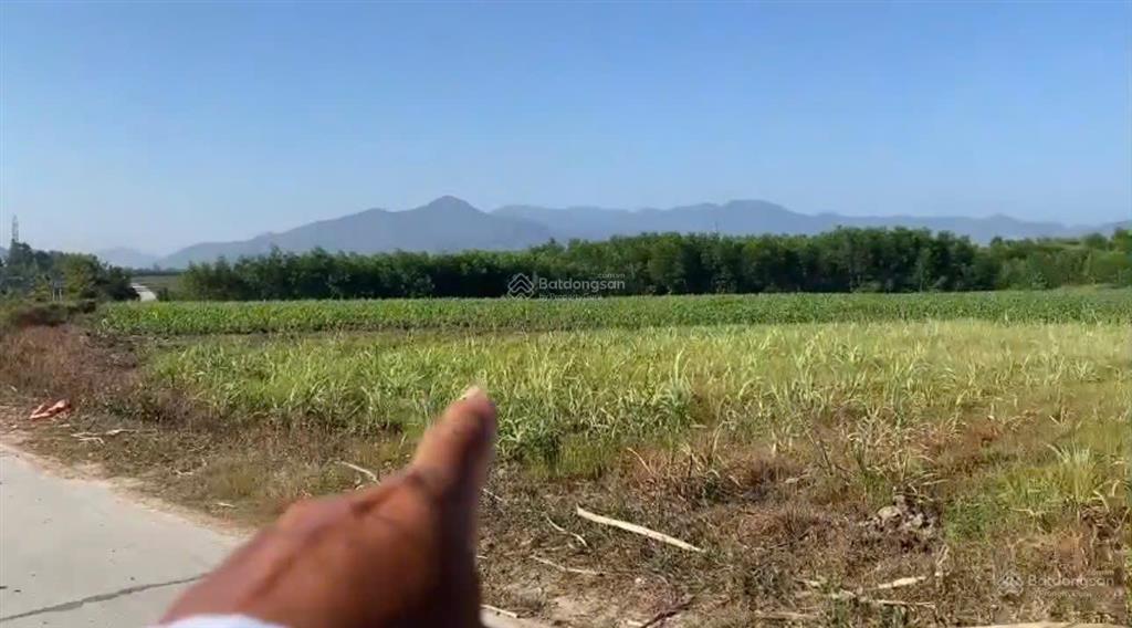 Bán lô đất thổ cư dt 1.339 m2 thôn buôn lác, xã tây ninh hòa