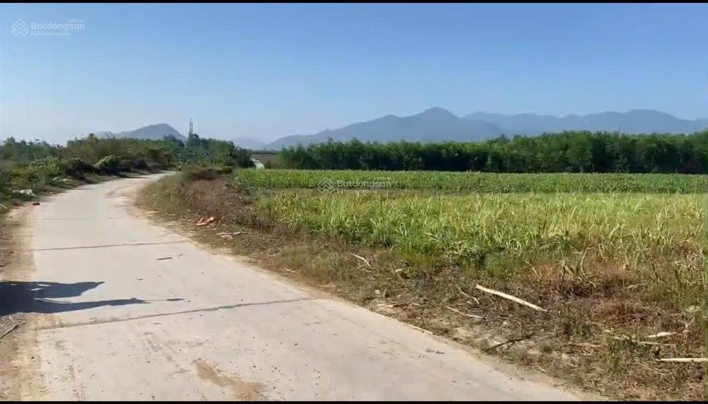 Bán lô đất thổ cư dt 1.339 m2 thôn buôn lác, xã tây ninh hòa