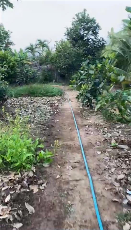Bán lô đất thổ cư dt 1.077 m2 mặt tiền ql26 thôn xóm mới, xã tây ninh hòa