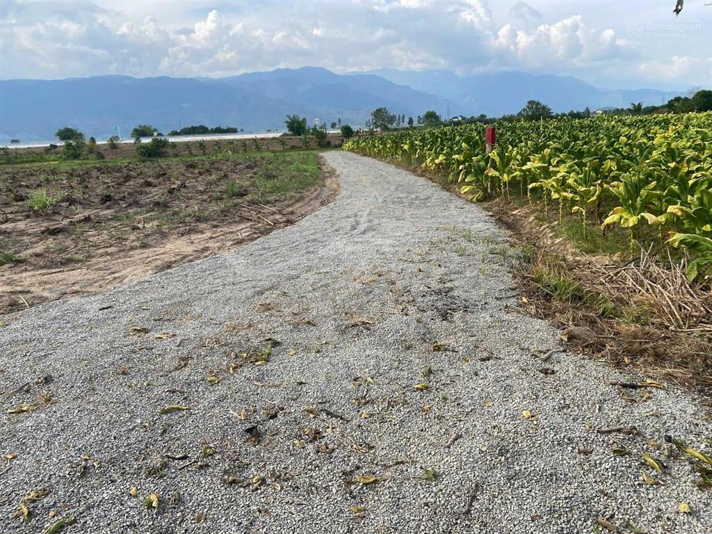 Cần bán lô đất thôn xóm mới, xã tây ninh hòa (ninh tây), khánh hòa. dt 11.771 m2