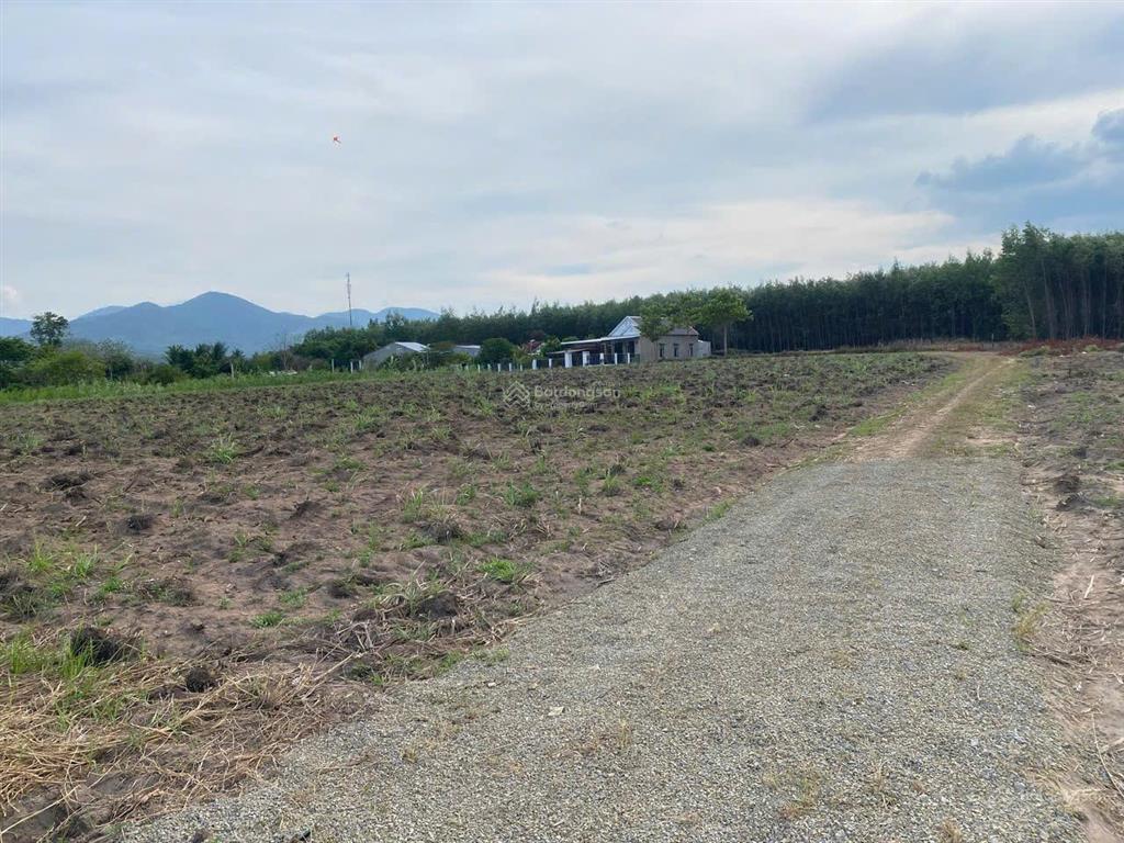 Cần bán lô đất thôn xóm mới, xã tây ninh hòa (ninh tây), khánh hòa. dt 11.771 m2