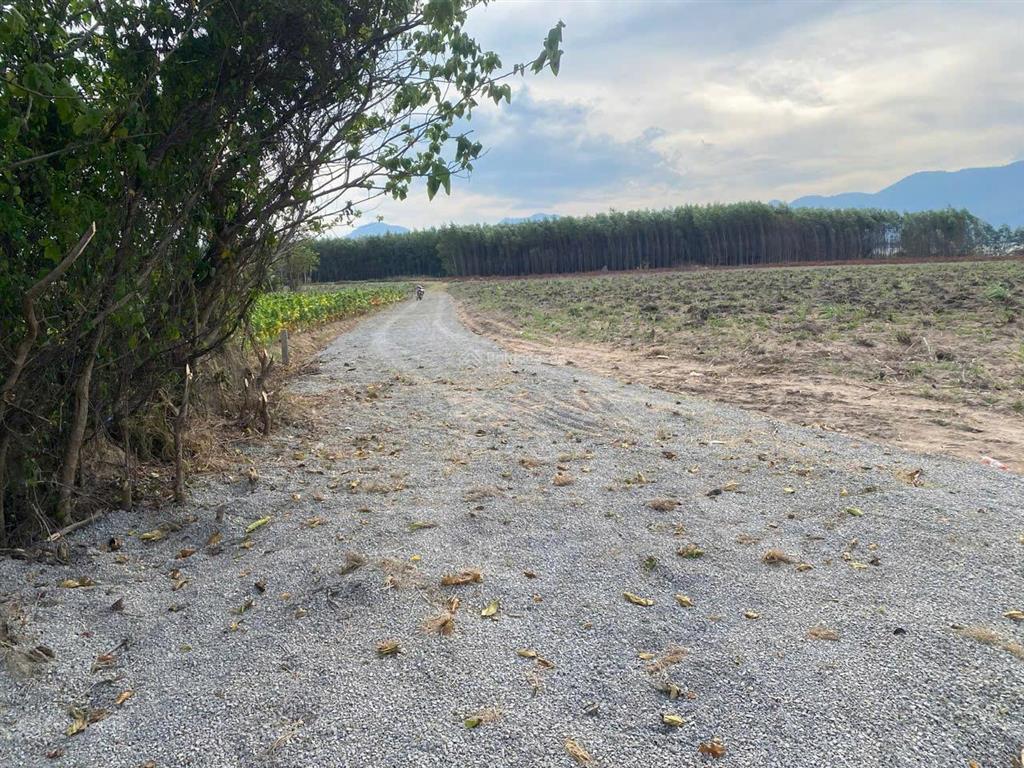 Cần bán lô đất thôn xóm mới, xã tây ninh hòa (ninh tây), khánh hòa. dt 11.771 m2
