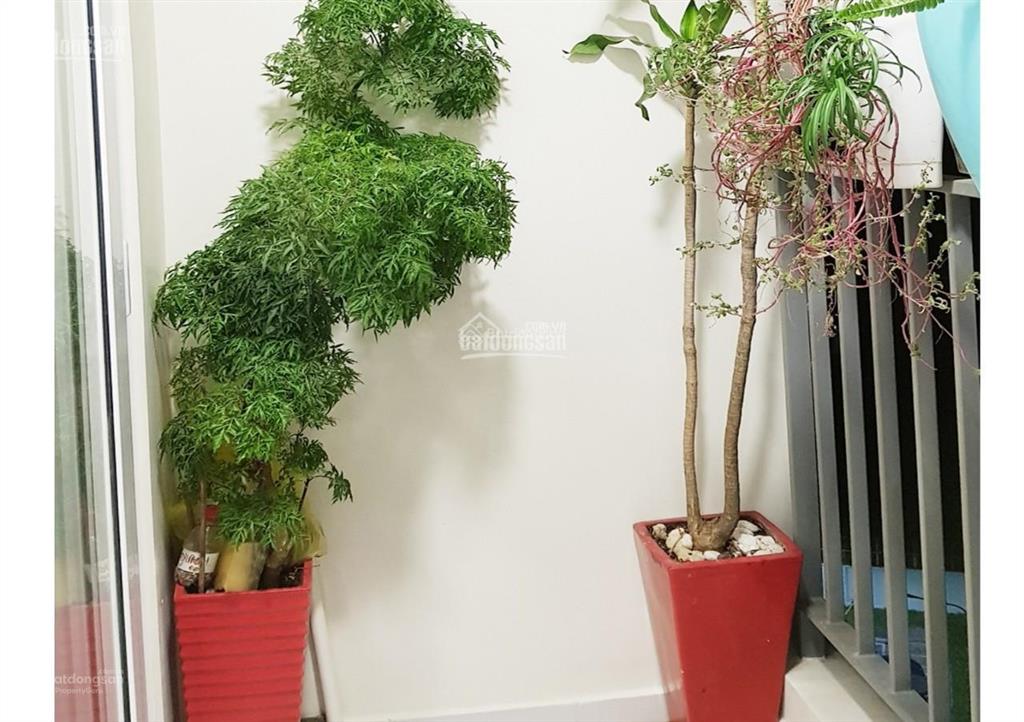 Cho thuê căn hộ 65m2 tại lotus garden  tân phú, giá tốt chỉ với 9 triệu vnd