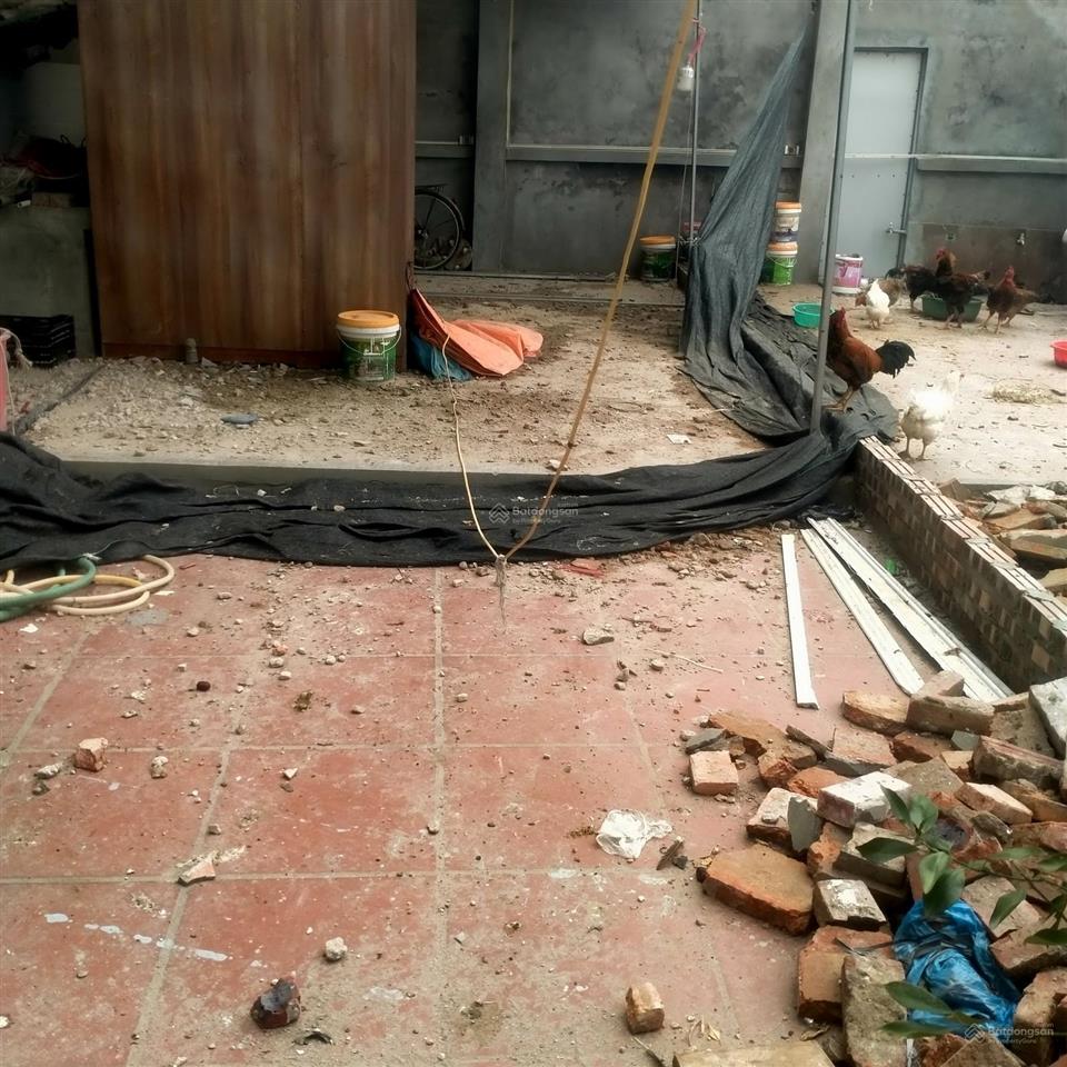 Chính chủ bán đất thổ cư 50 m2 đất tại thôn cổ dương xã tiên dương xã phúc thịnh đông anh hà nội
