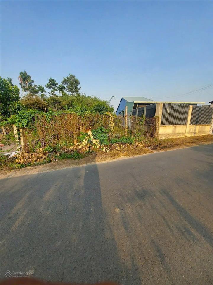 Mặt tiền đường nhựa 330m2 gia lộc tây ninh chỉ 1tỷ250