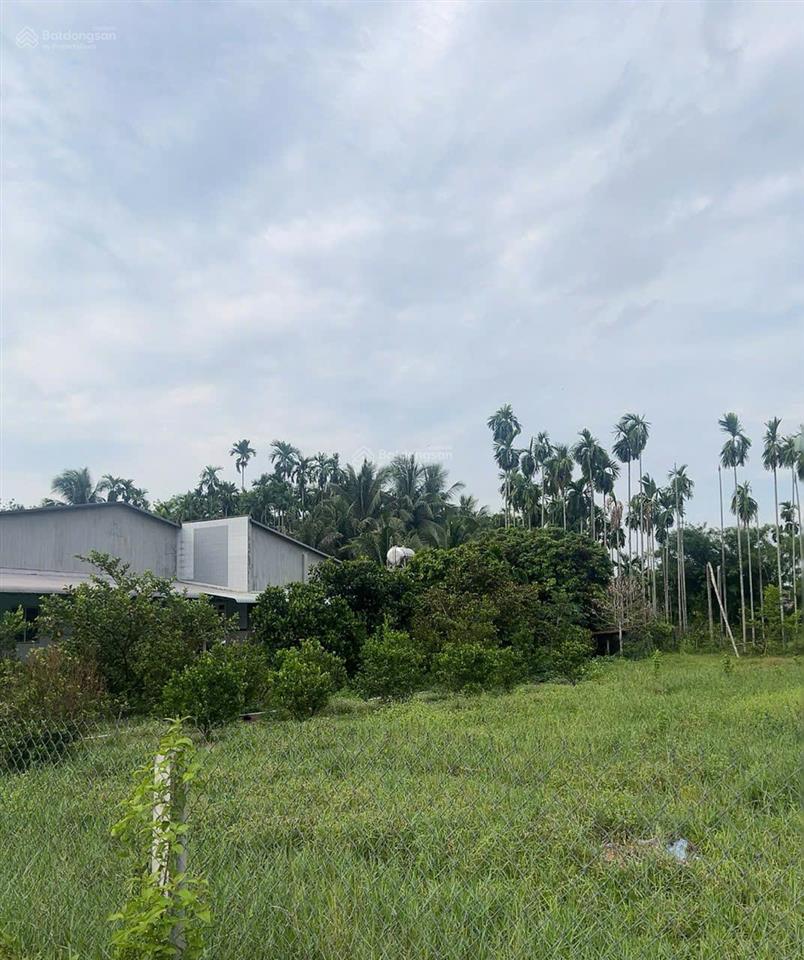 Bán lô đất 10x24m full thổ cư ngay cạnh trường tiểu học an phú giá 1tỷ6