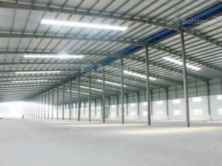 Cho thuê kho, nhà xưởng 100000m2 tại xã phù lãng, 110 nghìn/m2, hot