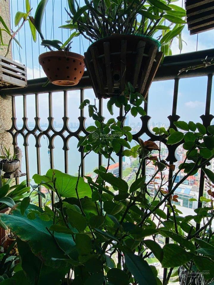 Cho thuê căn 1pn riêng biệt, view hồ tây, toà d'el dorado, 15 triệu/tháng, vào ở luôn