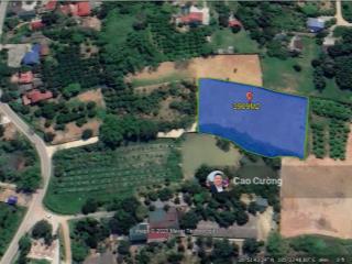 Siêu phẩm nghỉ dưỡng nhuận trạch lương sơn | quỹ đất hiếm đầu tư đón sóng