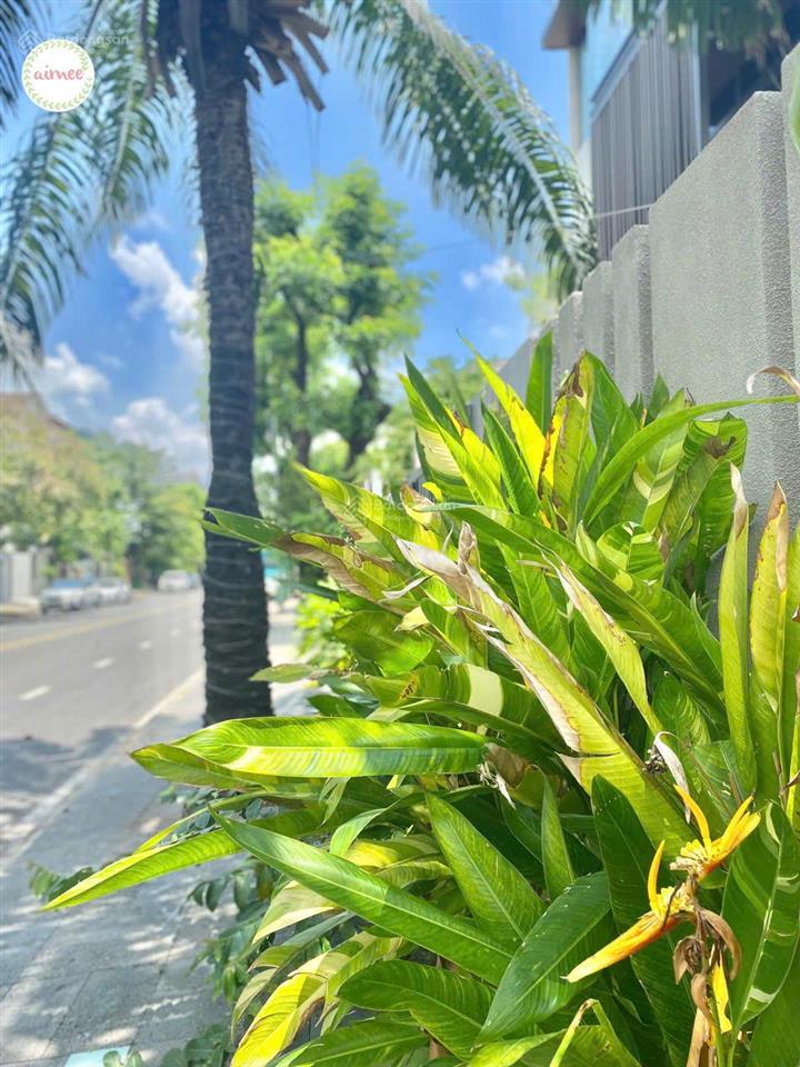 Định cư nước ngoài cần bán gấp nhà nam thông 3 (270 m2)  phú mỹ hưng.  0902 719 ***