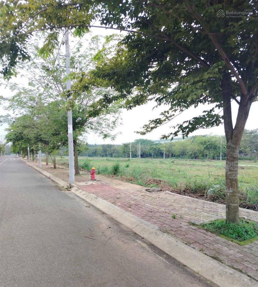 Cần bán đất tại biên hòa, đồng nai