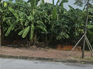 Bán nhanh lô đất 60m² giá tốt  khu đô thị phía tây cầu phú lương