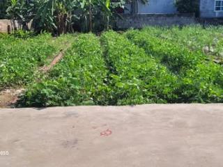 Tài chính hơn 1 tỷ sở hữu ngay 100m² tại kim đính