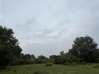 Bán gấp 500m² đất long sơn quy hoạch lên thổ cư đường đất vào tận nơi giá chỉ 7xx triệu