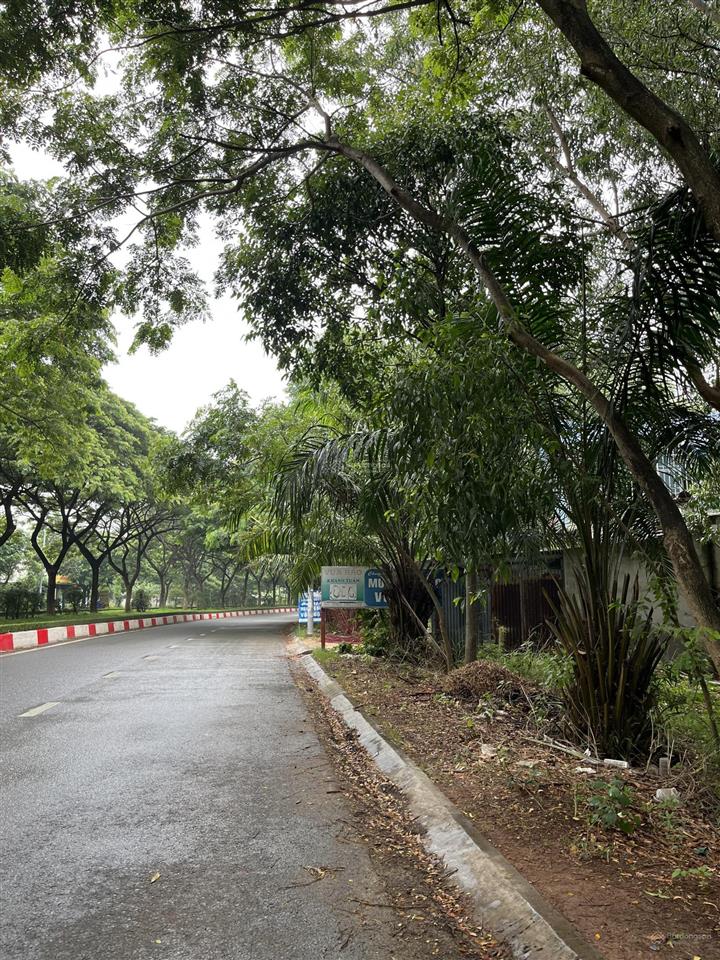 Bán gấp 500m² đất long sơn quy hoạch lên thổ cư đường đất vào tận nơi giá chỉ 7xx triệu