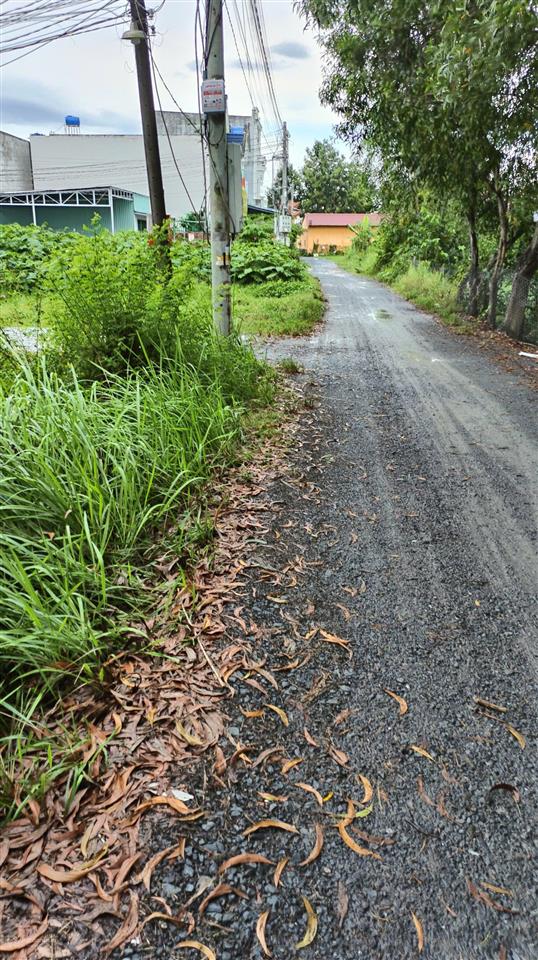 Chủ hạ giá!!! cần ra nhanh lô đất gần trạm y tế phước lâm giá 350 triệu/90m2 thổ cư, sổ hồng riêng