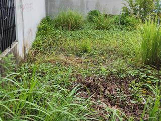 Chủ hạ giá!!! cần ra nhanh lô đất gần trạm y tế phước lâm giá 350 triệu/90m2 thổ cư, sổ hồng riêng