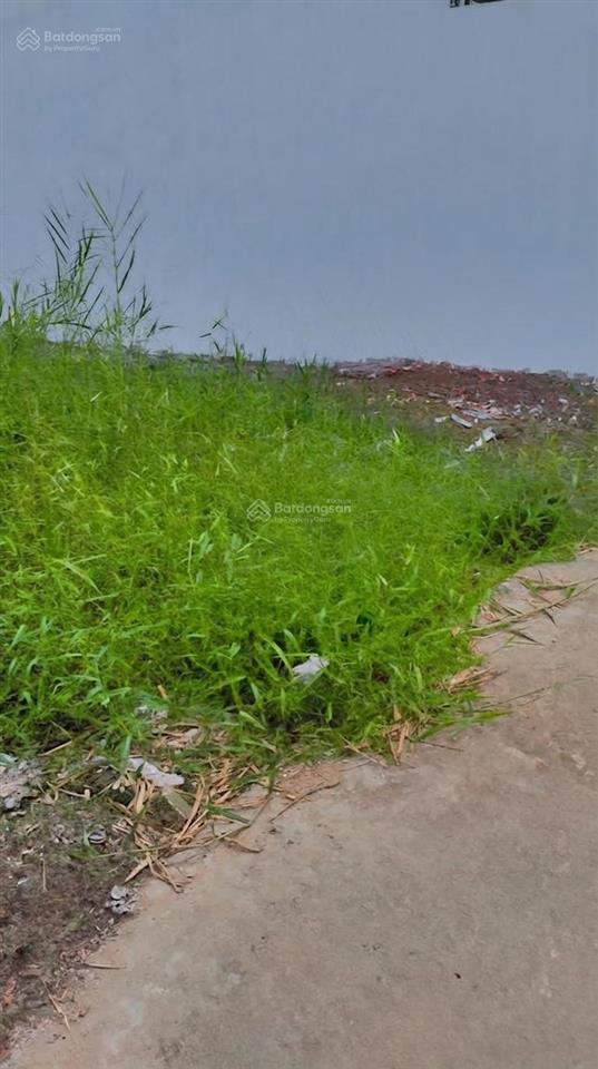 Hàng đẹp, gần thánh thất mỹ lộc giá 390 triệu/ 123m2 thổ cư, hẻm 2m