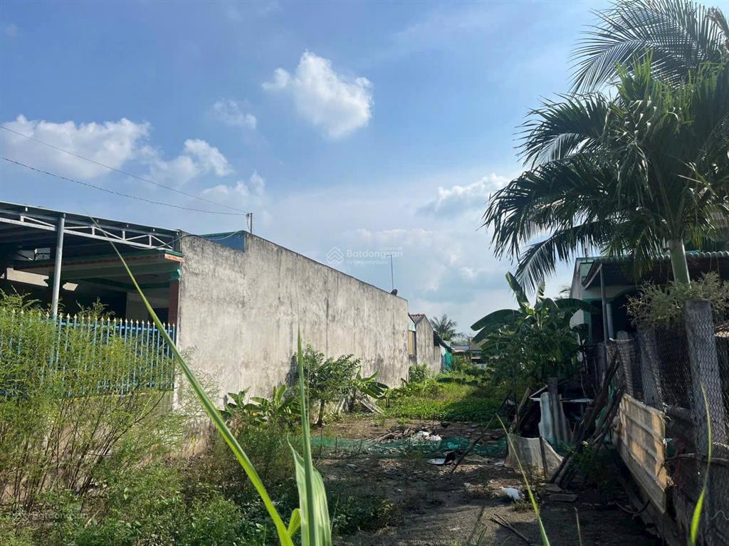 Cần bán đất mặt tiền đường cộng đồng lộc trung, mỹ lộc, cần giuộc, giá 750 triệu / dt 158m2 thổ cư
