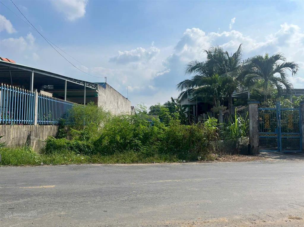 Cần bán đất mặt tiền đường cộng đồng lộc trung, mỹ lộc, cần giuộc, giá 730 triệu / dt 152m2 thổ cư