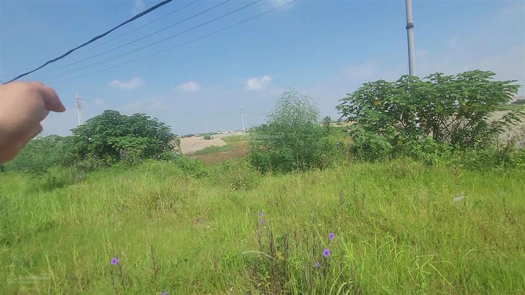 Bán đất 12.000m2 phố nối a, hưng yên