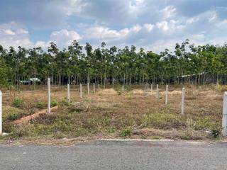 Chính chủ bán đất tân lập, đồng phú, bình dương, dt 300m2