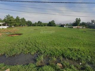 Bán trang trại tại đường số 111, xã phú hòa đông, huyện củ chi, 1,7 triệu / m2, tổng 5,8 ha