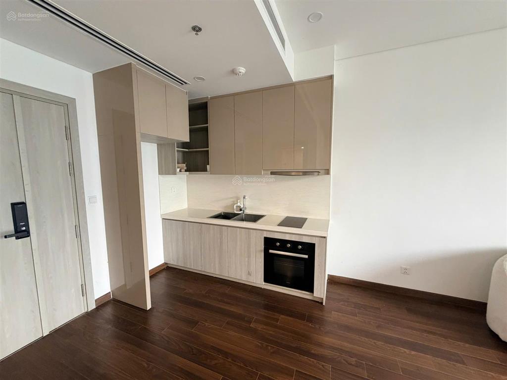 Chính chủ! căn 1n+ 4 tỷ, 47m2, nhà trống, tự decor, giá tốt tại tòa a masterise vinhomes smart city