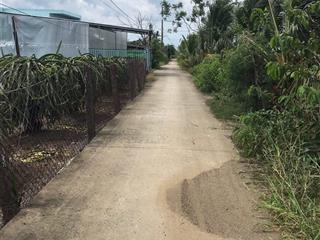 Cần bán đất lúa ở châu thành tân an