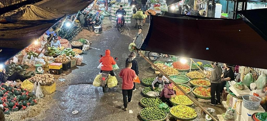 Cần tiền bán gấp lô đất đẹp ngay kế bên địa đạo củ chi