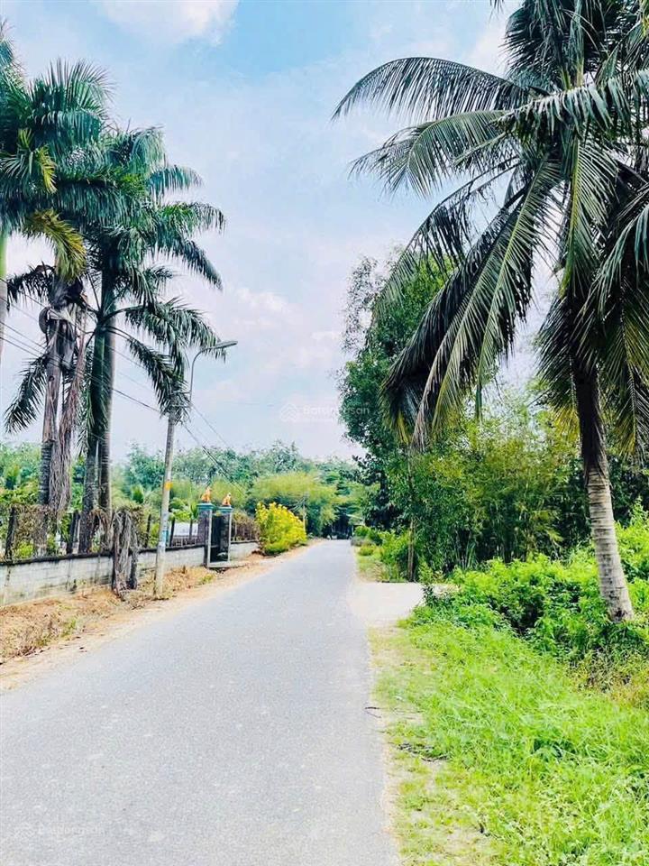 Chính chủ hạ lỗ chỉ 900 triệu đất full thổ cư 147m, đường nhựa, dân cư đông, an nhơn tây củ chi