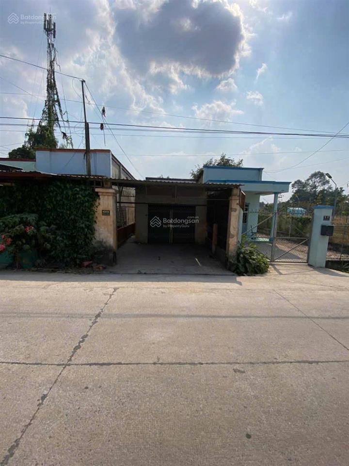 Chủ đi mỹ ! bán đất 175,9m2 full thổ cư , shr , x. tân an hội , củ chi . giá 1,85 tỷ