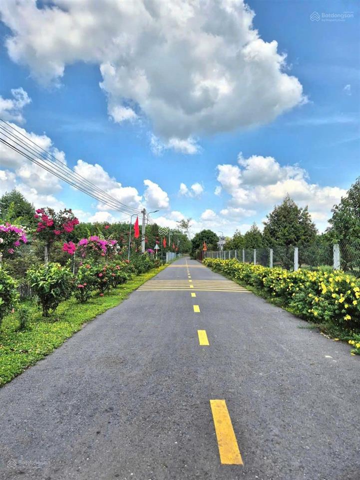 Cần bán gấp đất 256m2 full thổ cư , ngay x.tân thông hội , củ chi giá 785 triệu