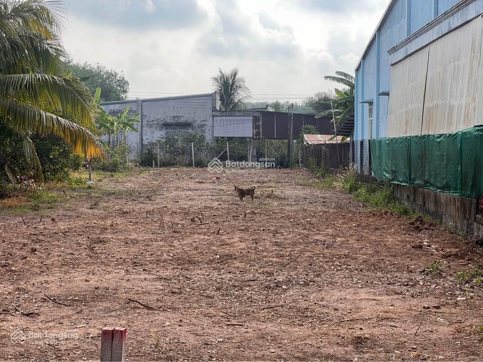 Cần bán gấp 300m2 cln, ngay x. tân phú trung, củ chi giá 825 triệu