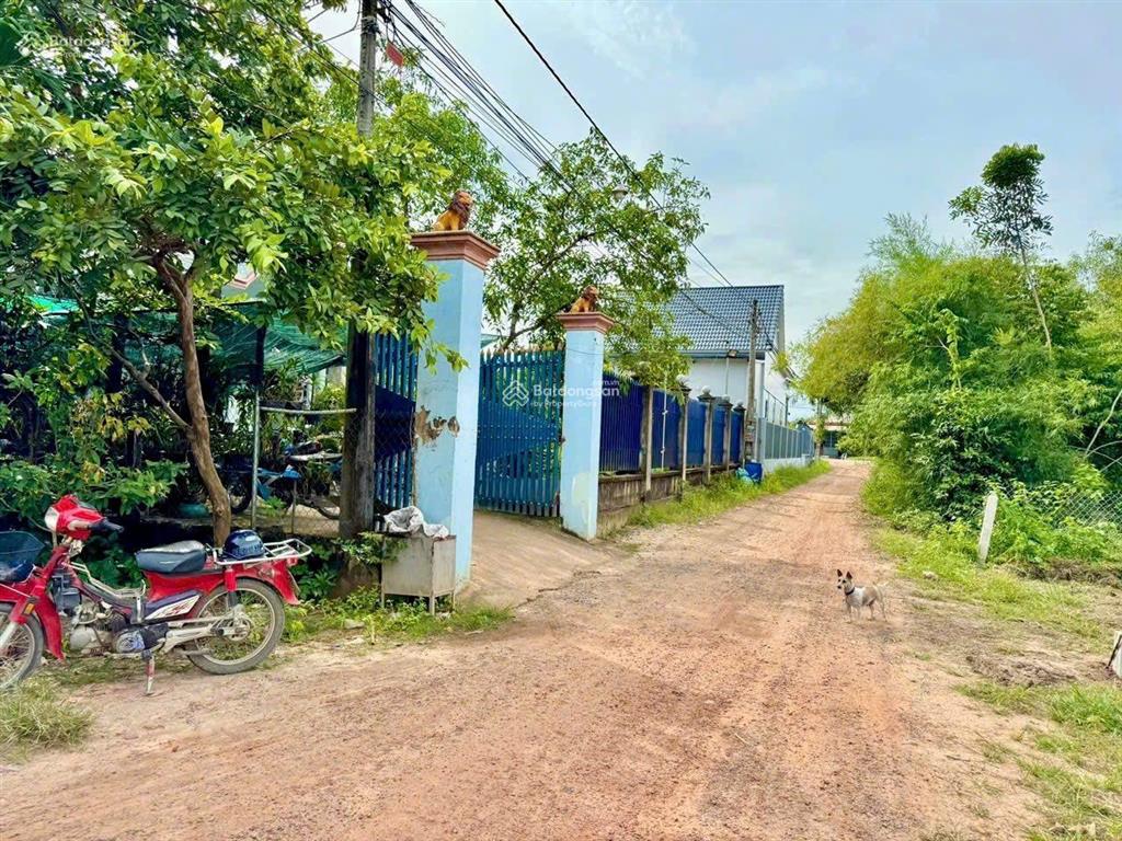 Chủ cần bán gấp đất 190m² ngay phường an tịnh, trảng bàng giá 695 triệu