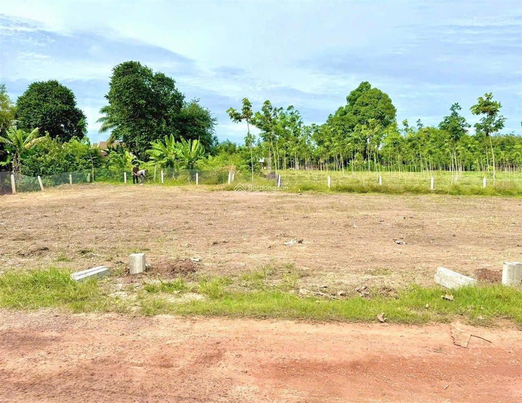 Chủ cần bán gấp đất 190m² ngay phường an tịnh, trảng bàng giá 695 triệu