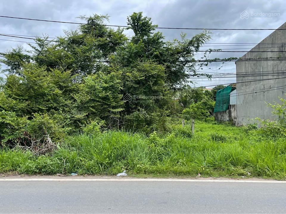 Chủ ngộp cần bán đất 250m2 ngay x. tân an hội, củ chi