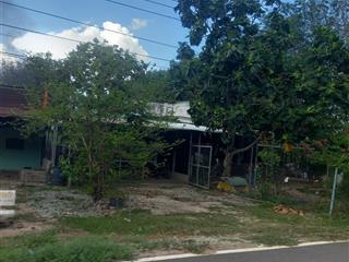 Em đang cần bán nhà đất 2 mặt tiền ngay đường hồ chí minh