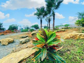 Bán gấp mảnh đất lô góc 864m2, hướng đông nam. cách trục chính xã 80m. giá rẻ. sđcc