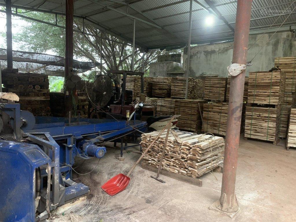 Bán đất 5.000m2 đất ở nông thôn + cây lâu năm xã hợp thành, triệu sơn, thanh hóa