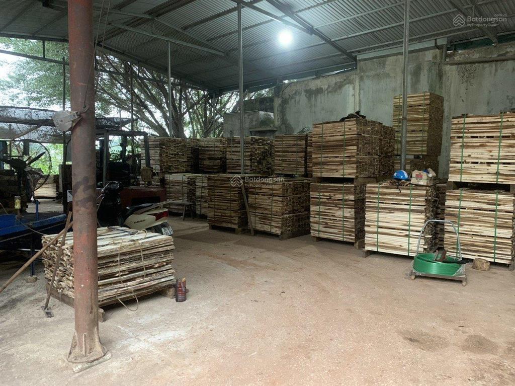 Bán đất 5.000m2 đất ở nông thôn + cây lâu năm xã hợp thành, triệu sơn, thanh hóa