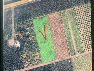 Bán đất tại đường 792, ấp tân khai, 1,5 tỷ, 10000m2, giá ưu đãi